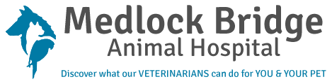 Medlock Bridge Animal Hospital